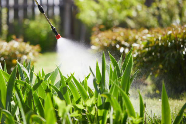 24/7 Emergency Mosquito Control experts in Island Walk, FL