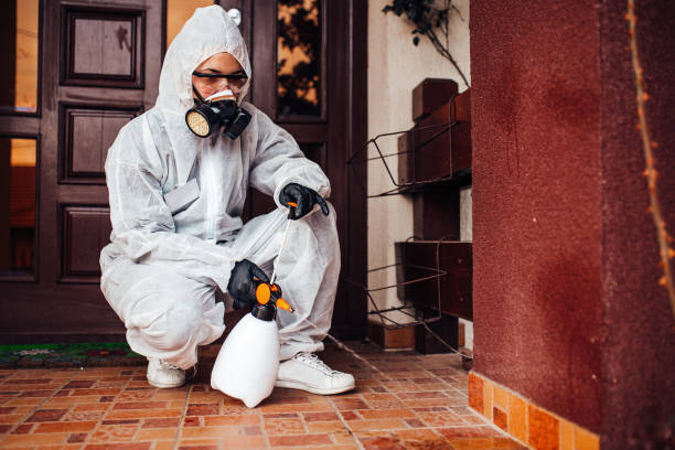 Reliable Mosquito Control contractor in Island Walk, FL by Show Me Pest Control